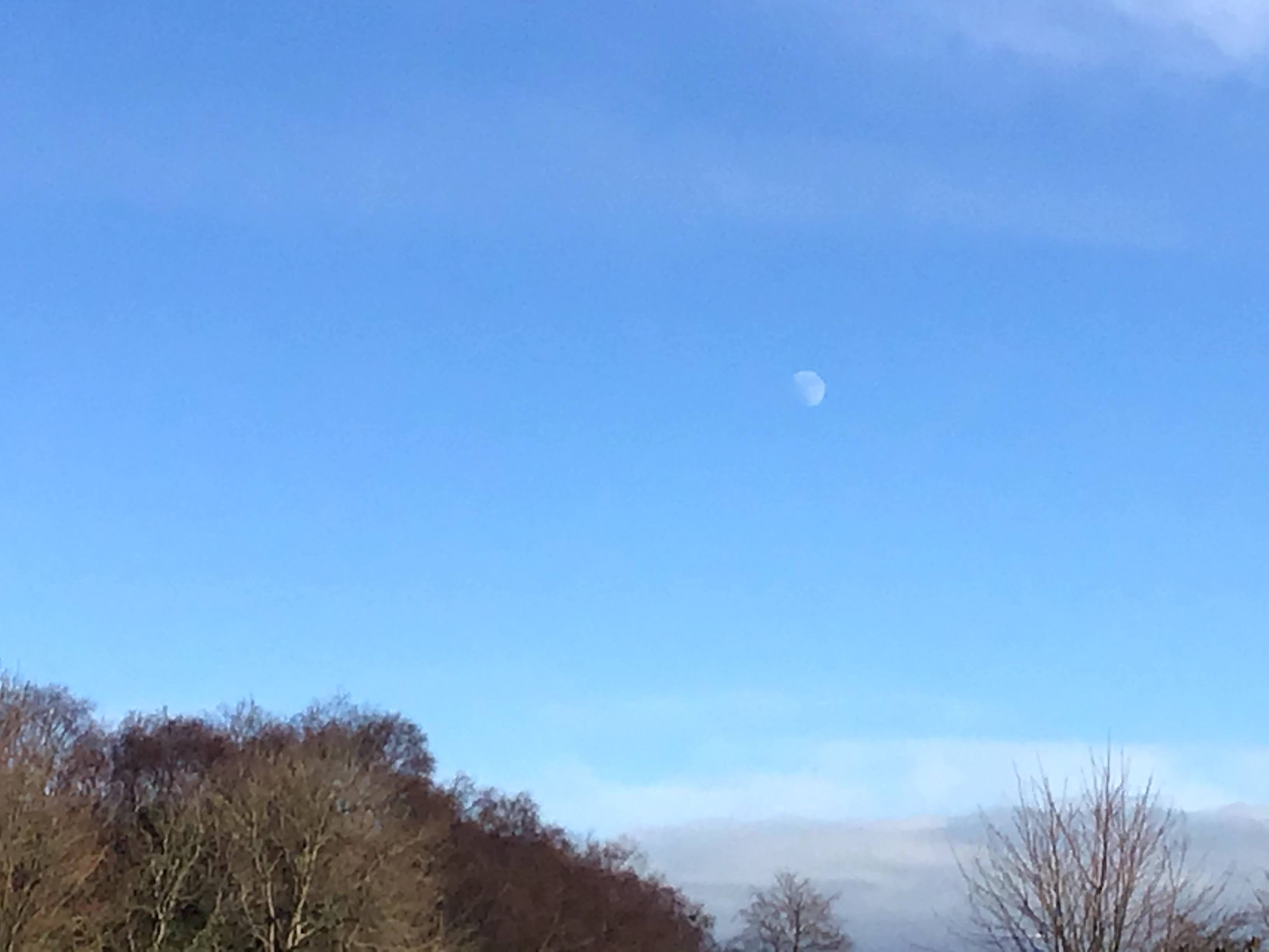 Moon During Daytime